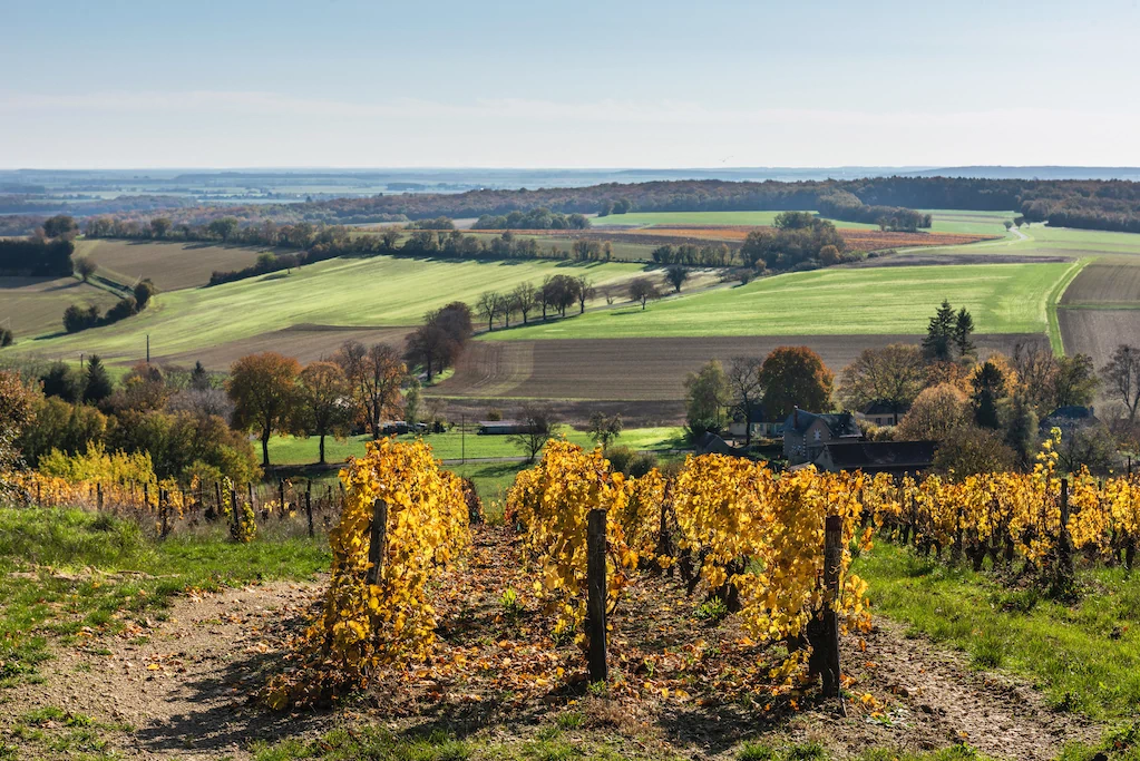 Montigny, vue sur les vignes