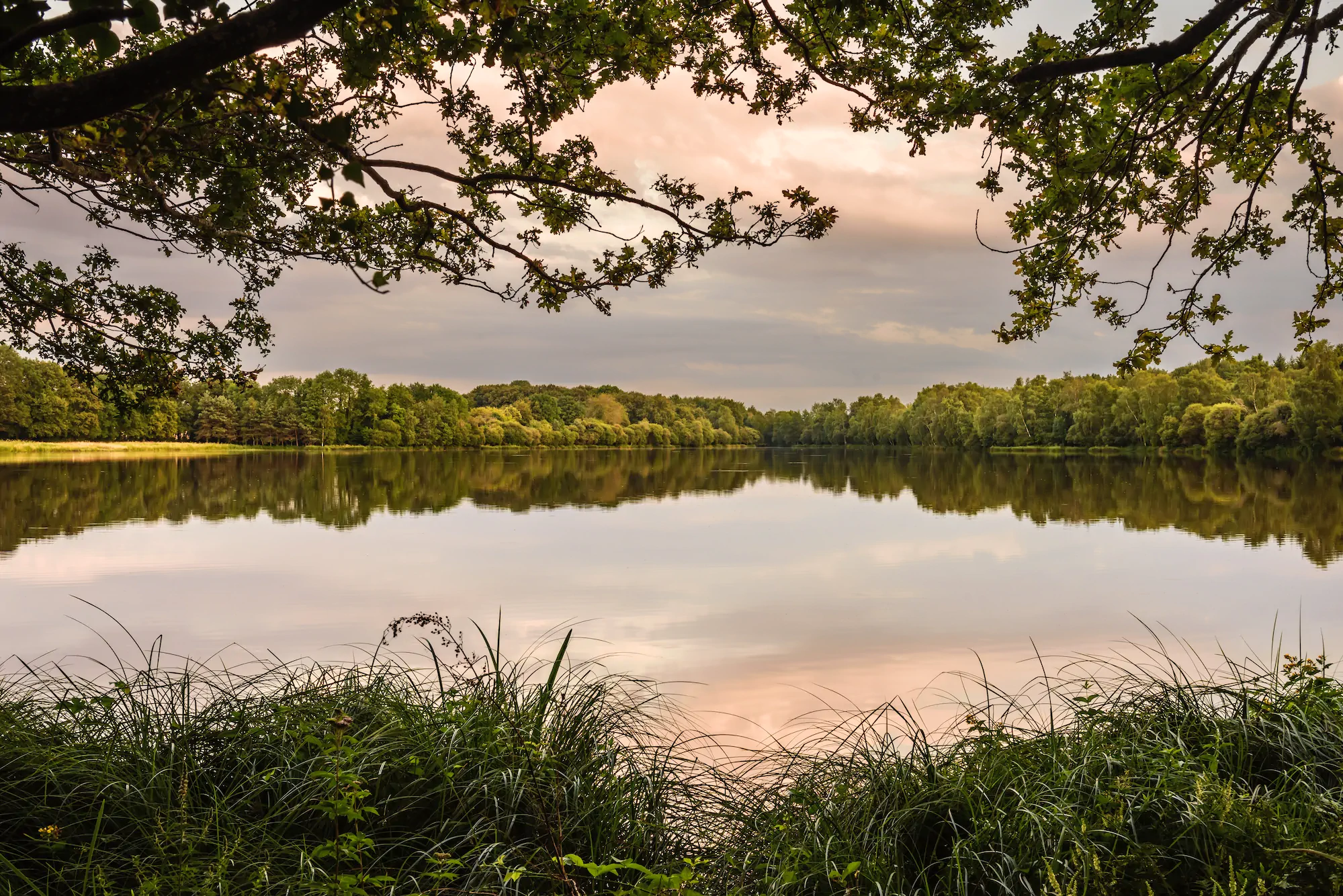 L'étang de Morue, Neuilly-en-Sancerre